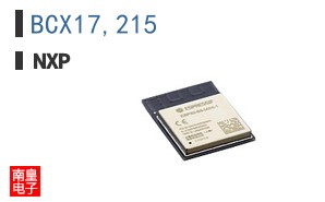 BCX17,215