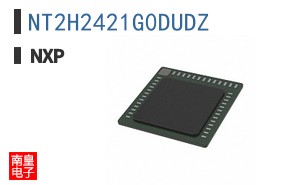 NT2H2421G0DUDZ