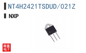 NT4H2421TSDUD/021Z