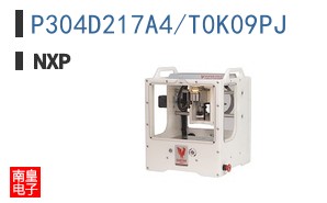 P304D217A4/T0K09PJ