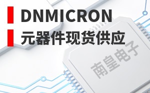 DNmicron����