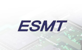 ESMT代理